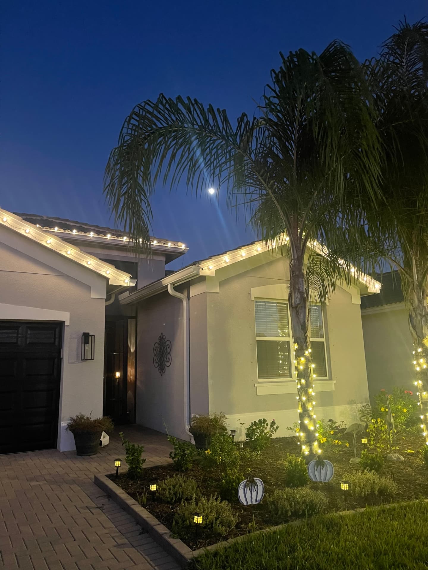 Roofline C9 lights and a palm tree wrapped in mini lights at dusk at a Palm Harbor home