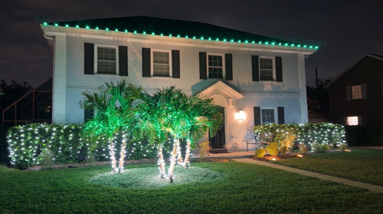 Two-story Palm Harbor home with green roofline lights, wrapped palms, and hedges covered in mini lights