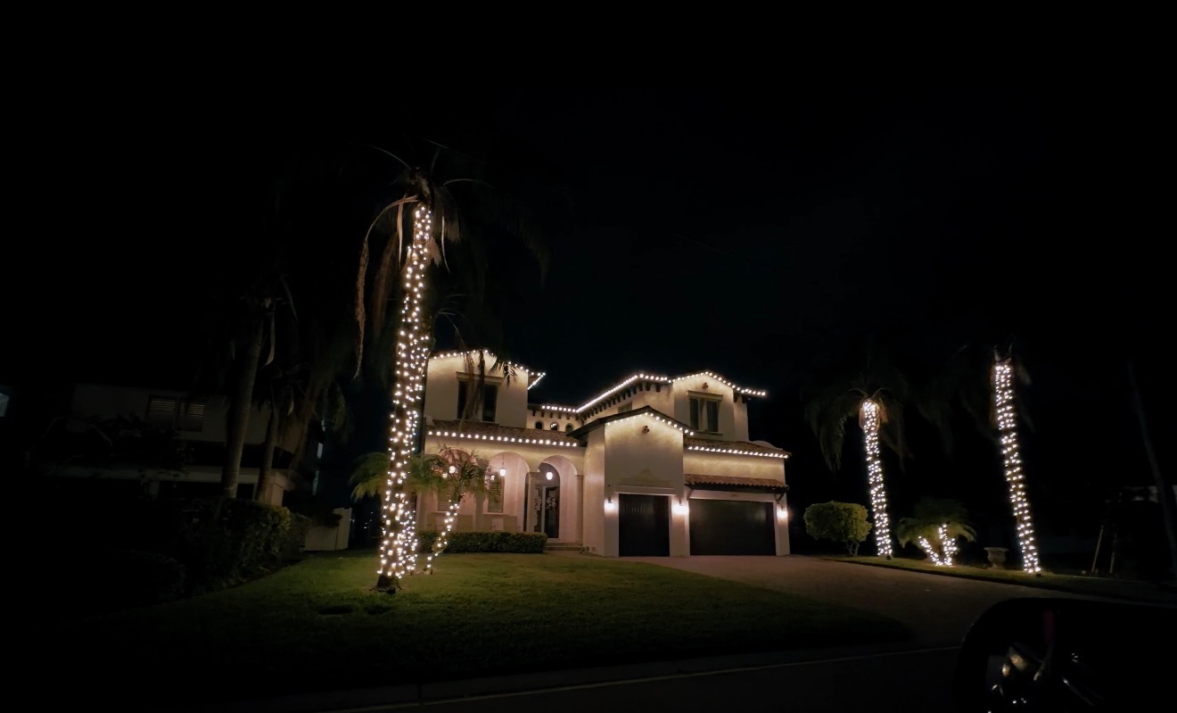 Palm Harbor home with roofline lights and tall palms wrapped trunk to crown in warm white